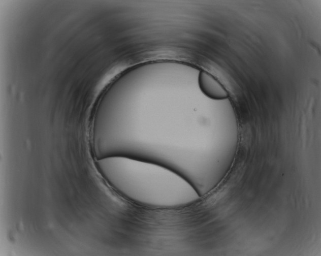 X0000097791043200803070931