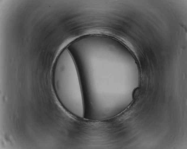 X0000097791045200803070931