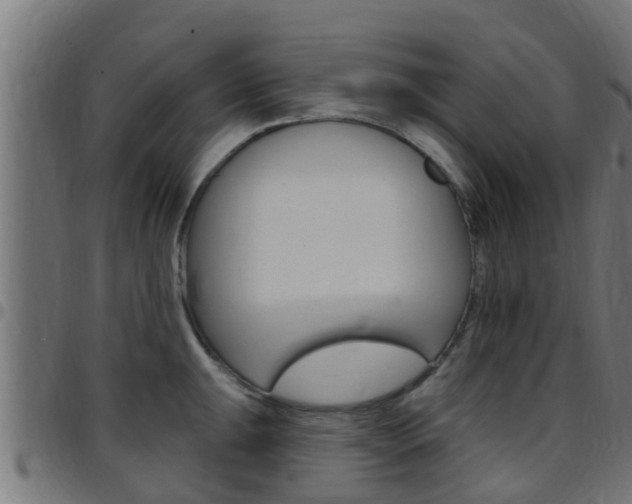 X0000097791047200803070931