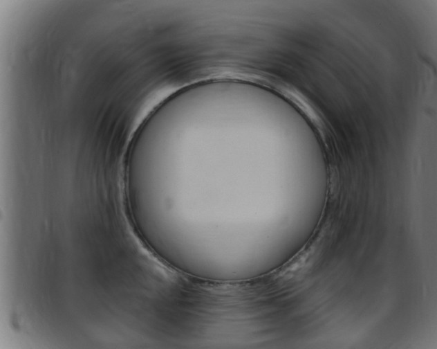 X0000097791048200803070931