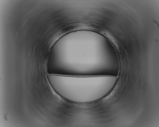 X0000097791049200803070931