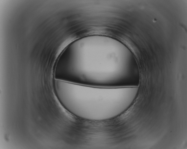 X0000097791050200803070931