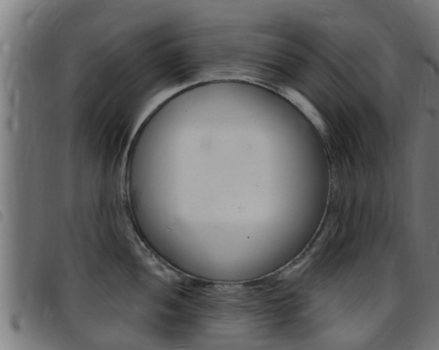 X0000097791052200803070931