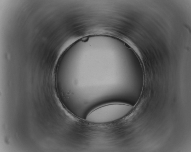 X0000097791053200803070931
