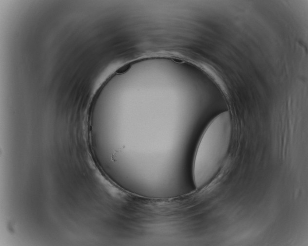 X0000097791054200803070931