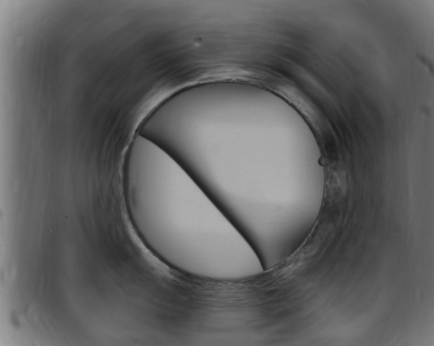 X0000097791055200803070931