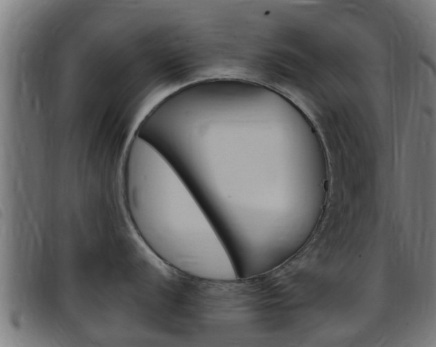 X0000097791056200803070931