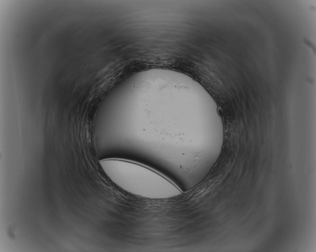 X0000097791058200803070930
