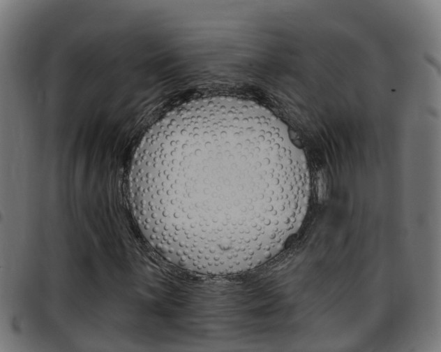 X0000097791059200803070930