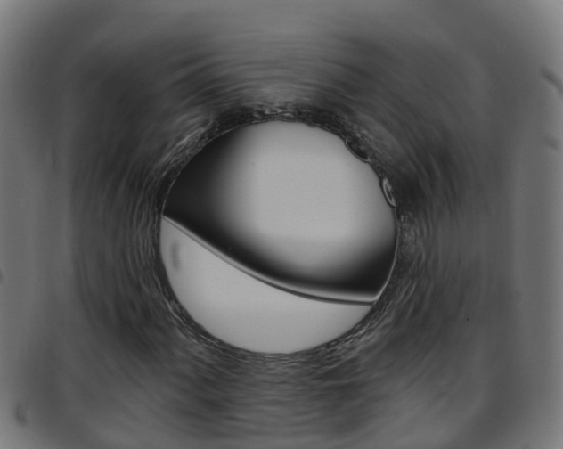 X0000097791060200803070930