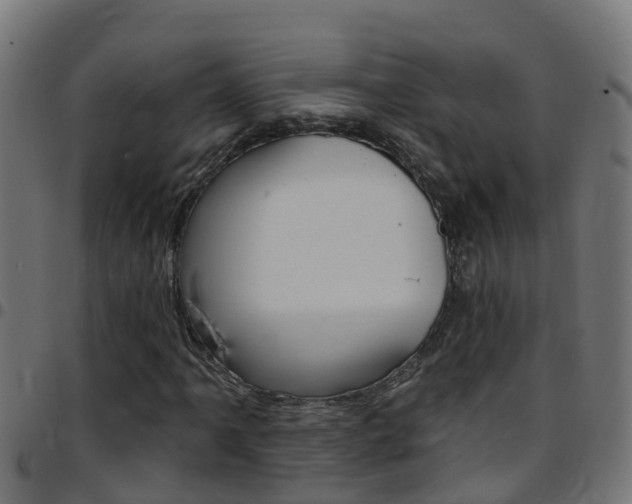 X0000097791061200803070930