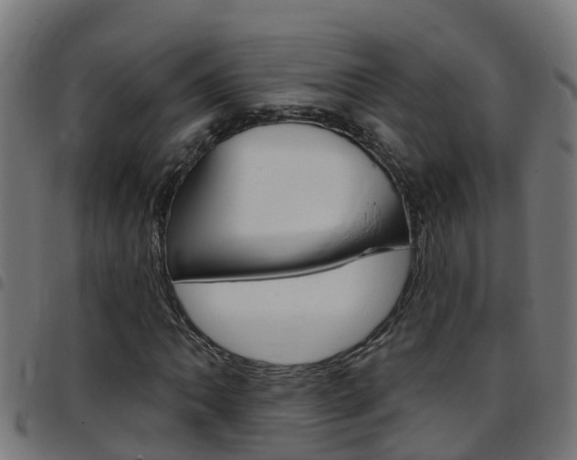 X0000097791062200803070930