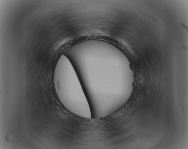 X0000097791063200803070930
