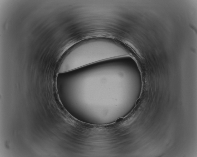 X0000097791065200803070930