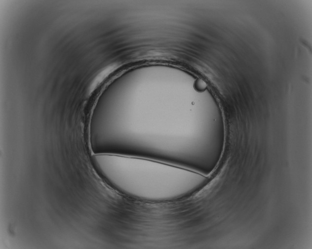 X0000097791066200803070930
