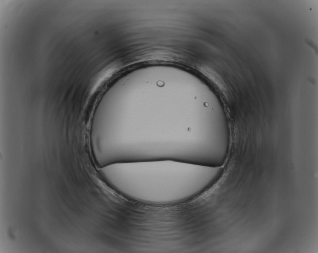 X0000097791067200803070930