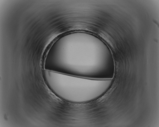 X0000097791068200803070930