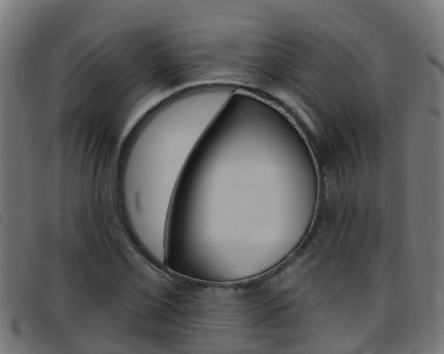 X0000097791069200803070930
