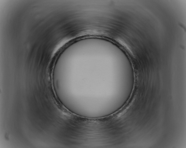 X0000097791070200803070930