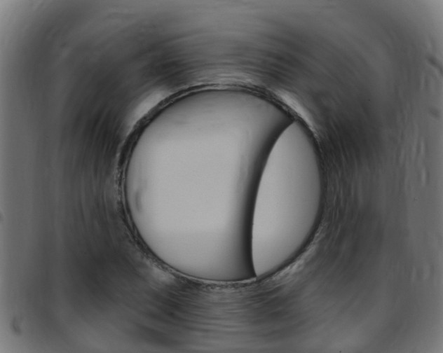 X0000097791071200803070930