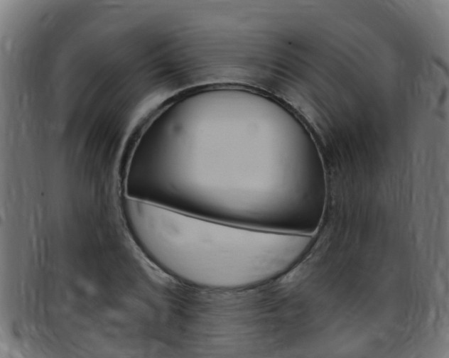 X0000097791072200803070930