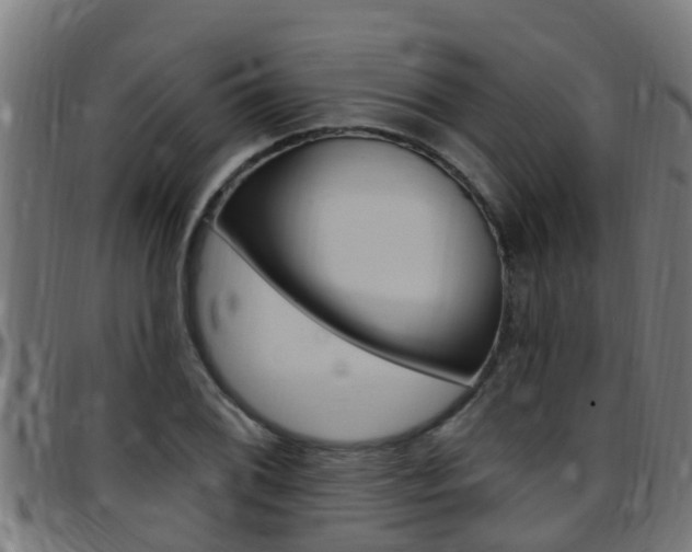 X0000097791076200803070930