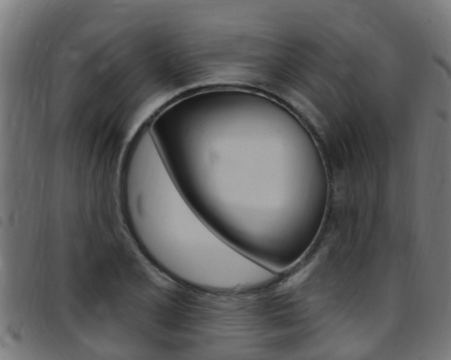 X0000097791077200803070930