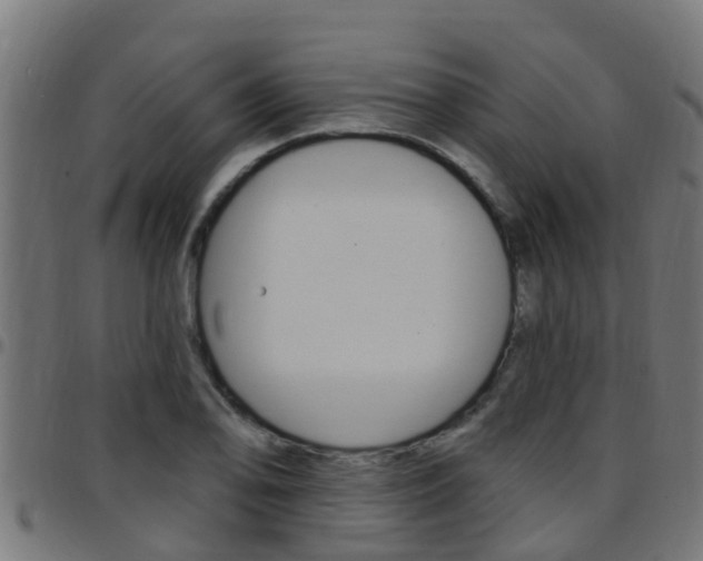 X0000097791078200803070930