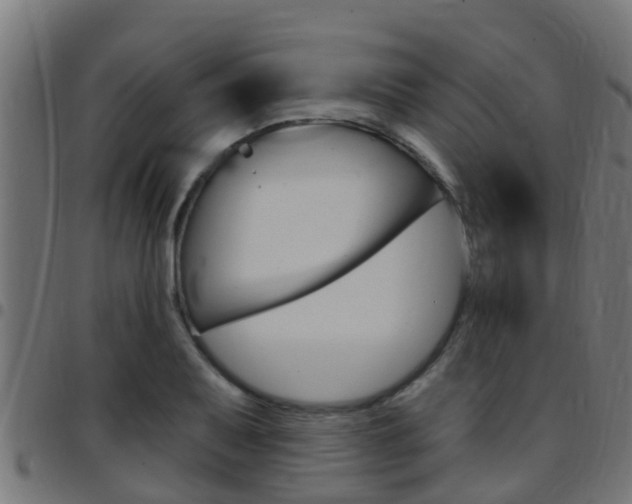 X0000097791079200803070930