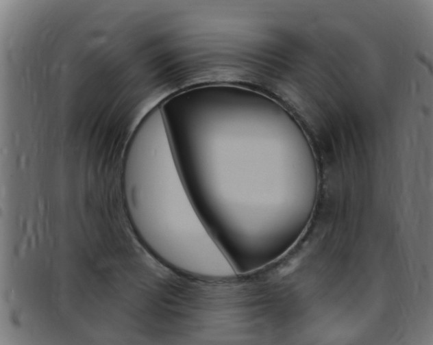 X0000097791081200803070930