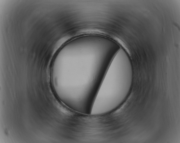 X0000097791082200803070930