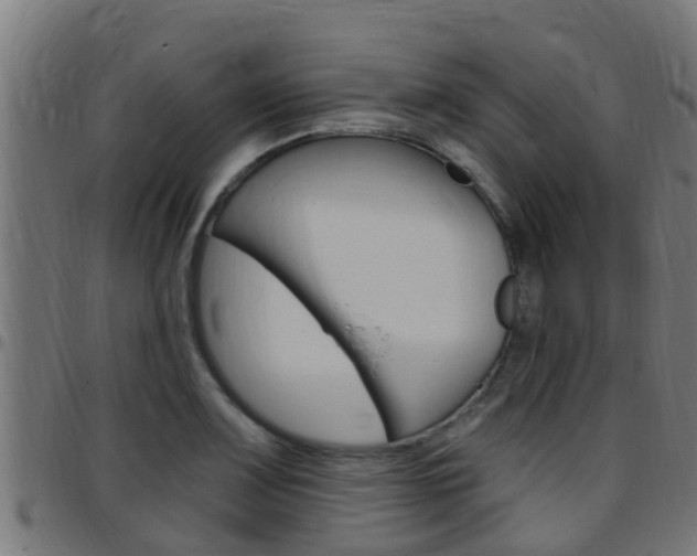 X0000097791083200803070930
