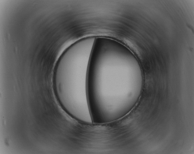 X0000097791085200803070930