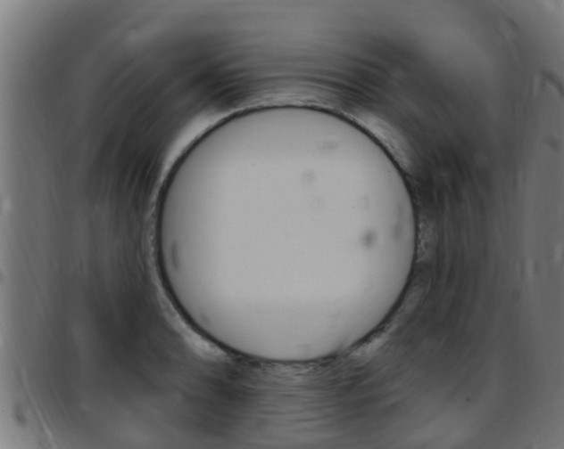 X0000097791086200803070930