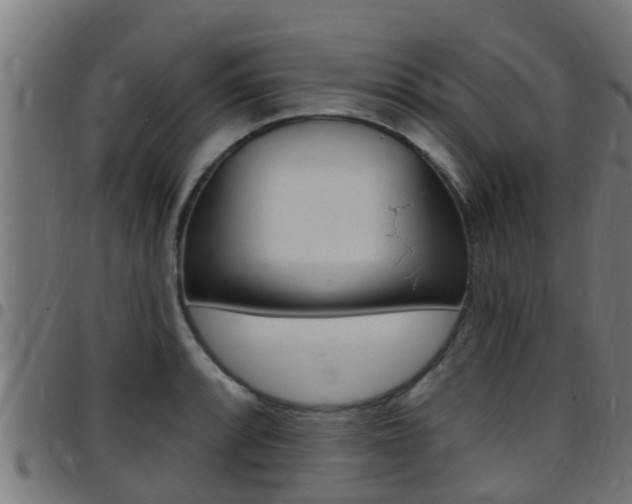 X0000097791088200803070930
