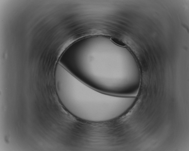 X0000097791089200803070930