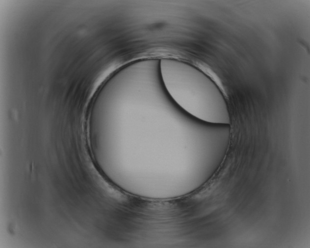 X0000097791091200803070930