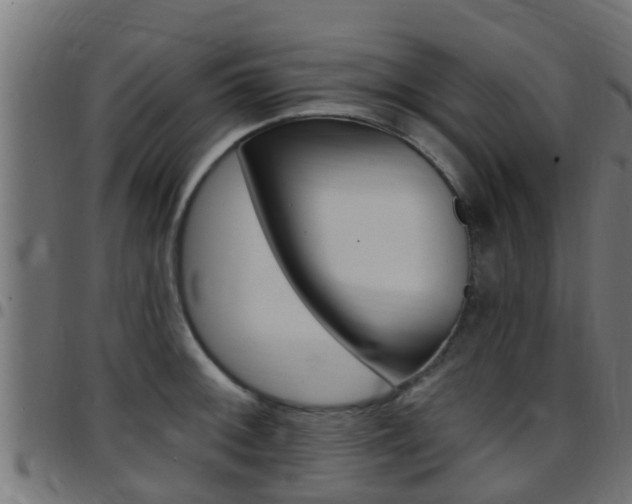 X0000097791092200803070930