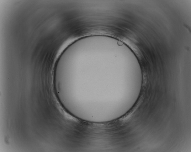 X0000097791094200803070930