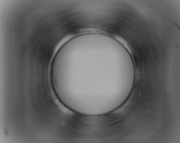 X0000097791098200803070930
