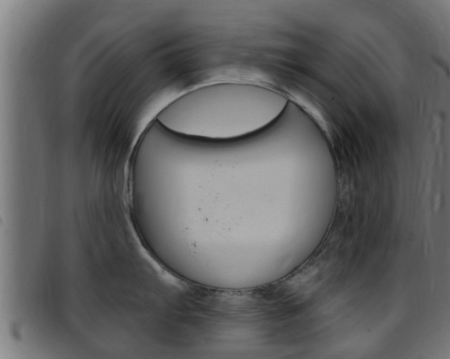 X0000097791103200803070930