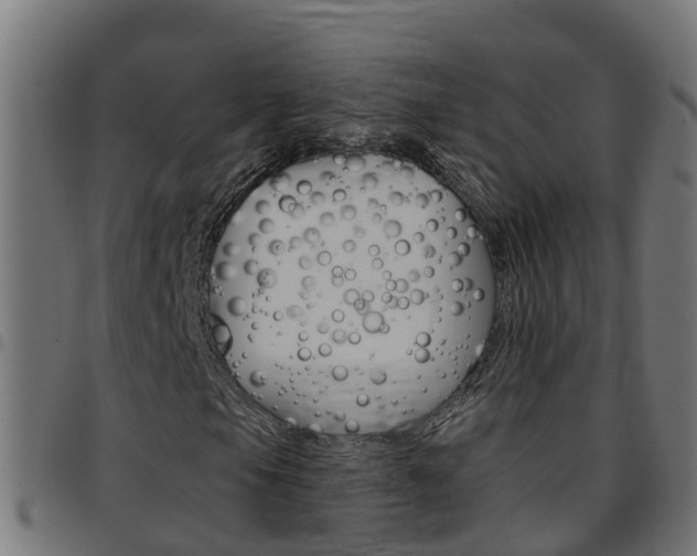 X0000097791105200803070929