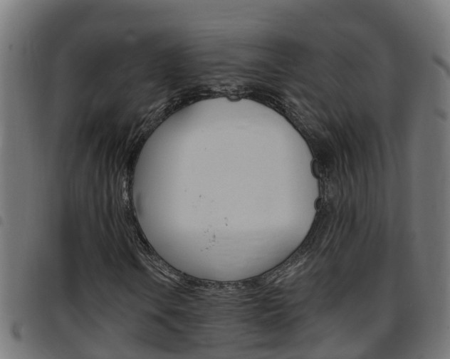 X0000097791106200803070929