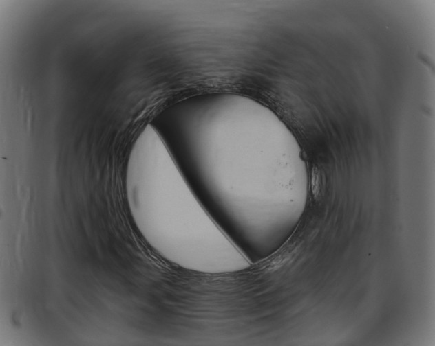 X0000097791107200803070929