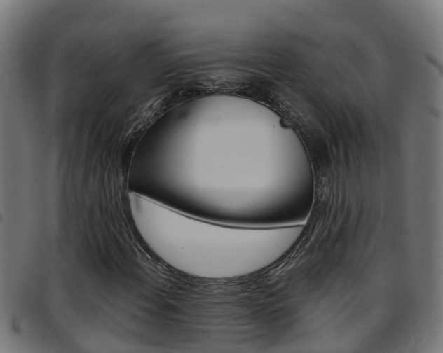 X0000097791108200803070929