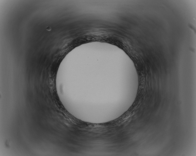 X0000097791109200803070929