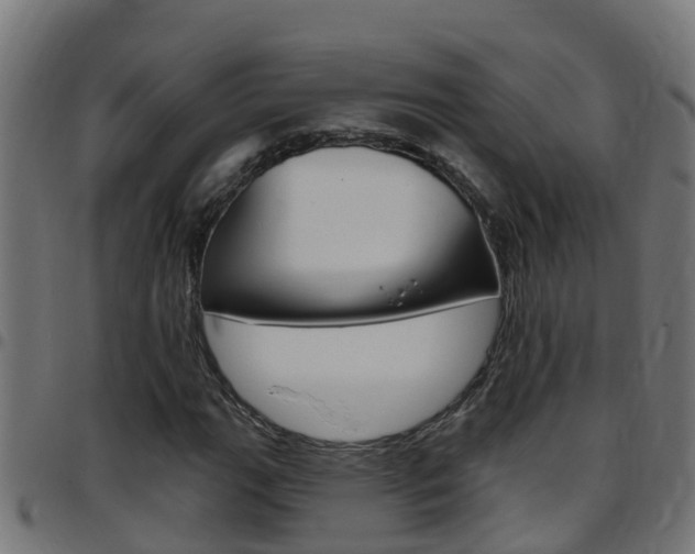 X0000097791111200803070929