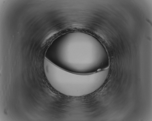 X0000097791112200803070929