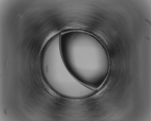 X0000097791114200803070929