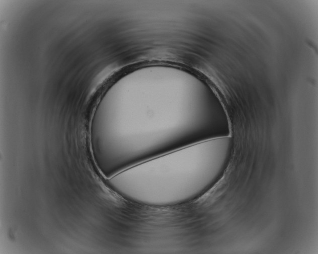 X0000097791115200803070929